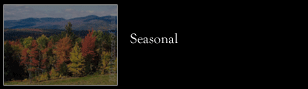 Seasonal and Foliage Photographs
