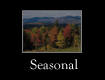 Seasonal and Foliage